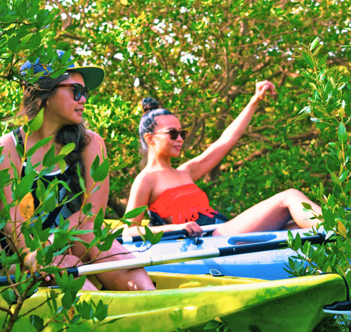 365 Adventures Eco Tours