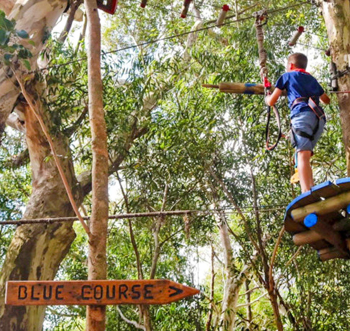 Acrobranch Adventure Park Constantia