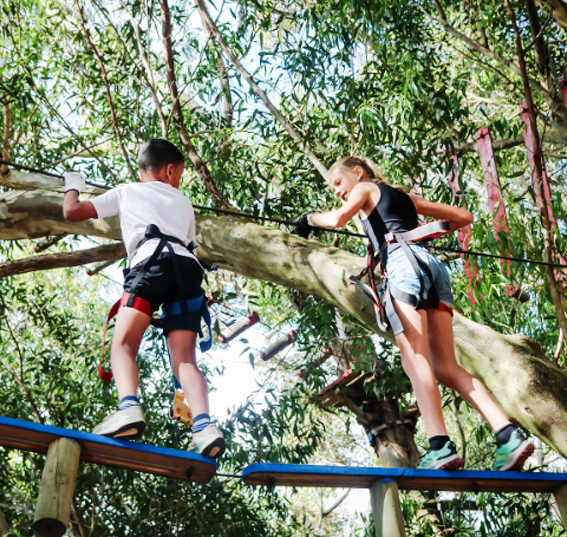 Acrobranch Adventure Park Garden Route