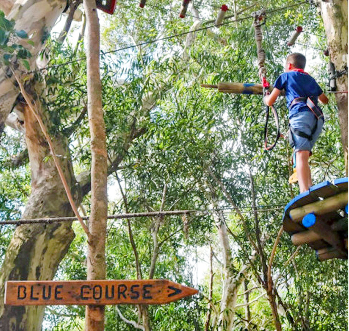 Acrobranch Adventure Park Garden Route