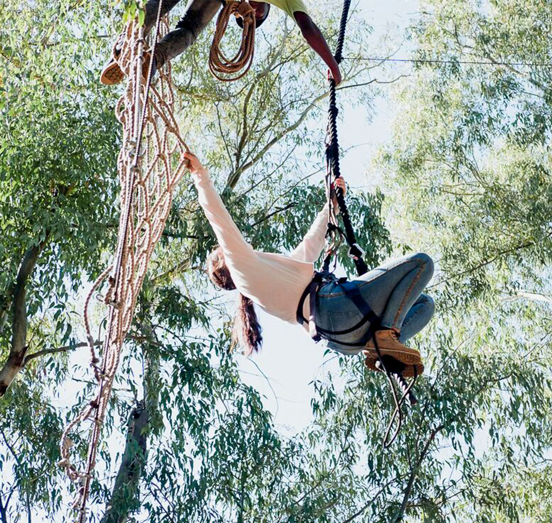 Acrobranch Adventure Park Modderfontein