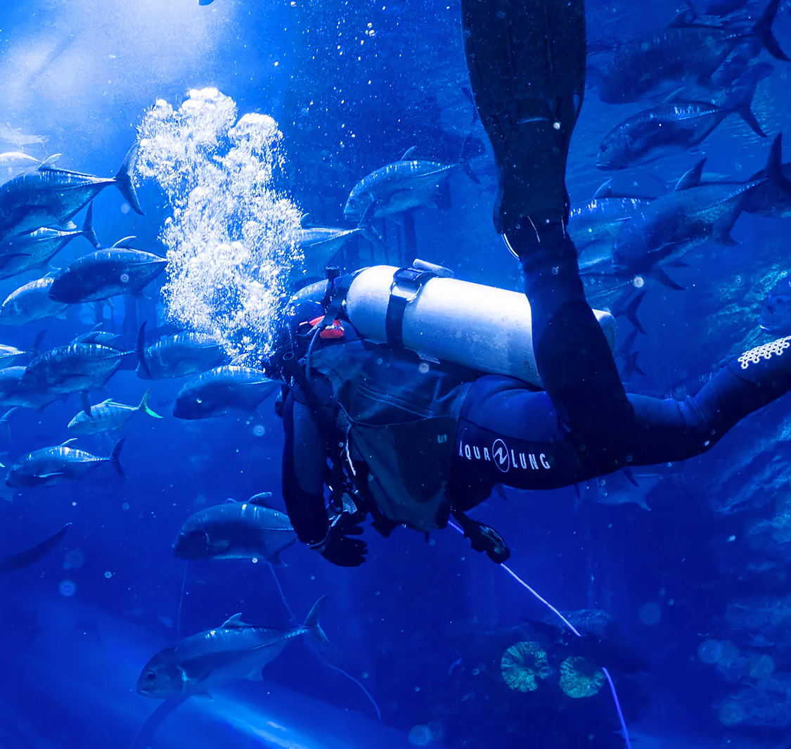 Al Boom Diving