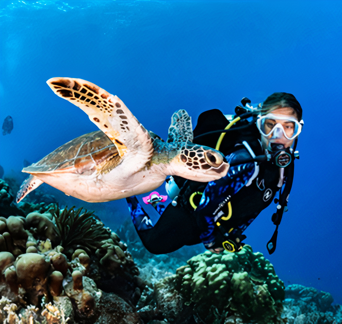 Al Boom Diving