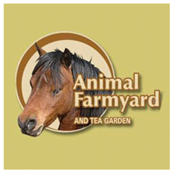 Animal Farmyard