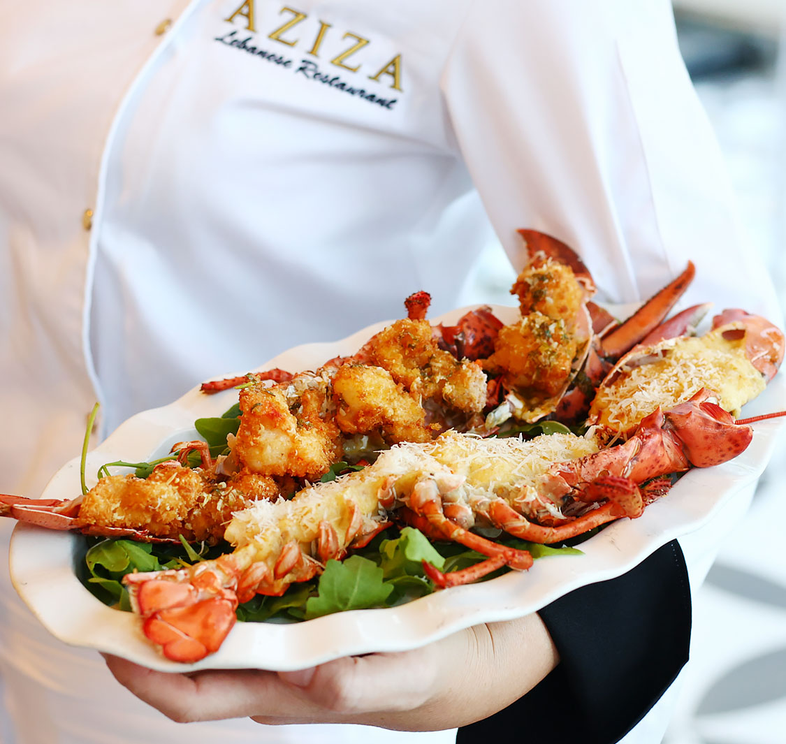 AZIZA Lebanese Restaurant