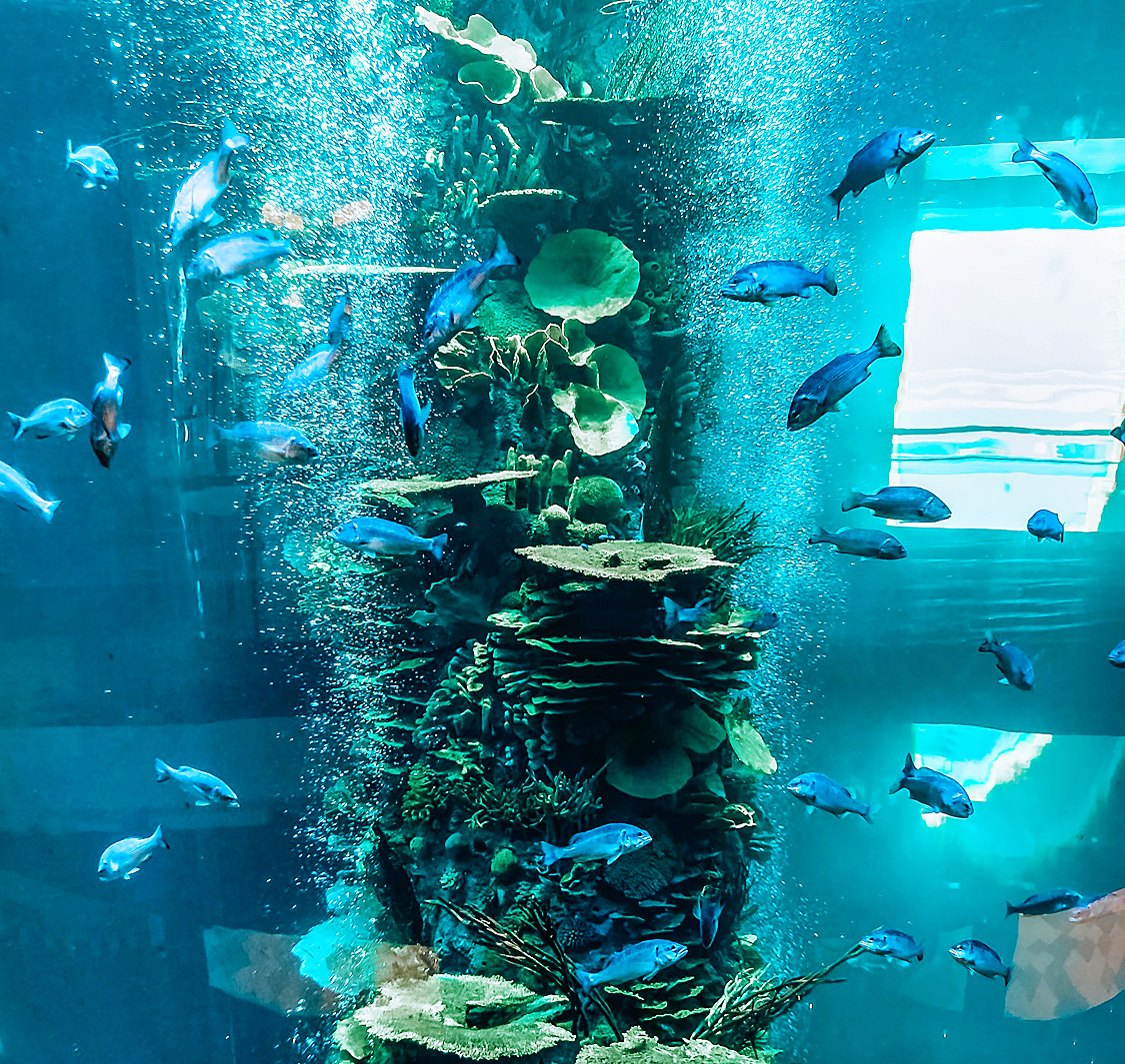Bahrain Aquarium