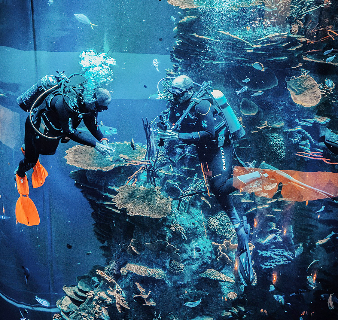 Bahrain Aquarium