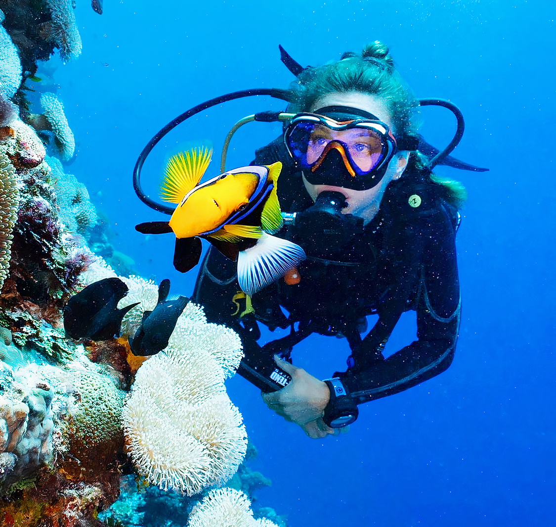 Bermuda Diving Centre