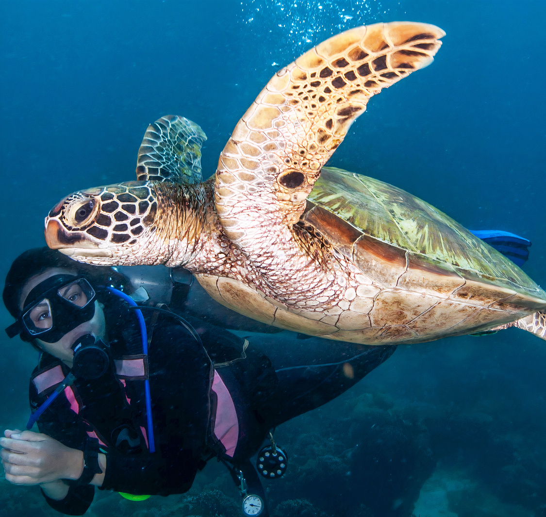 Bermuda Diving Centre
