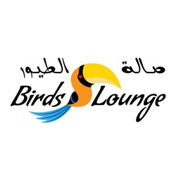 بيردس لاونج