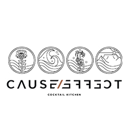 Cause & Effect Rondebosch