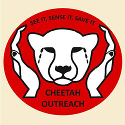 Cheetah Outreach