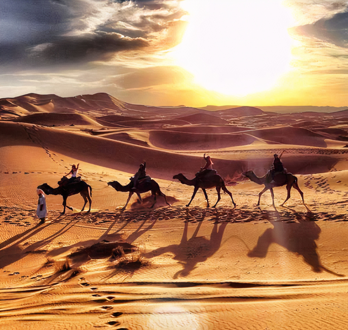 Culture Hub Tourism & Travel