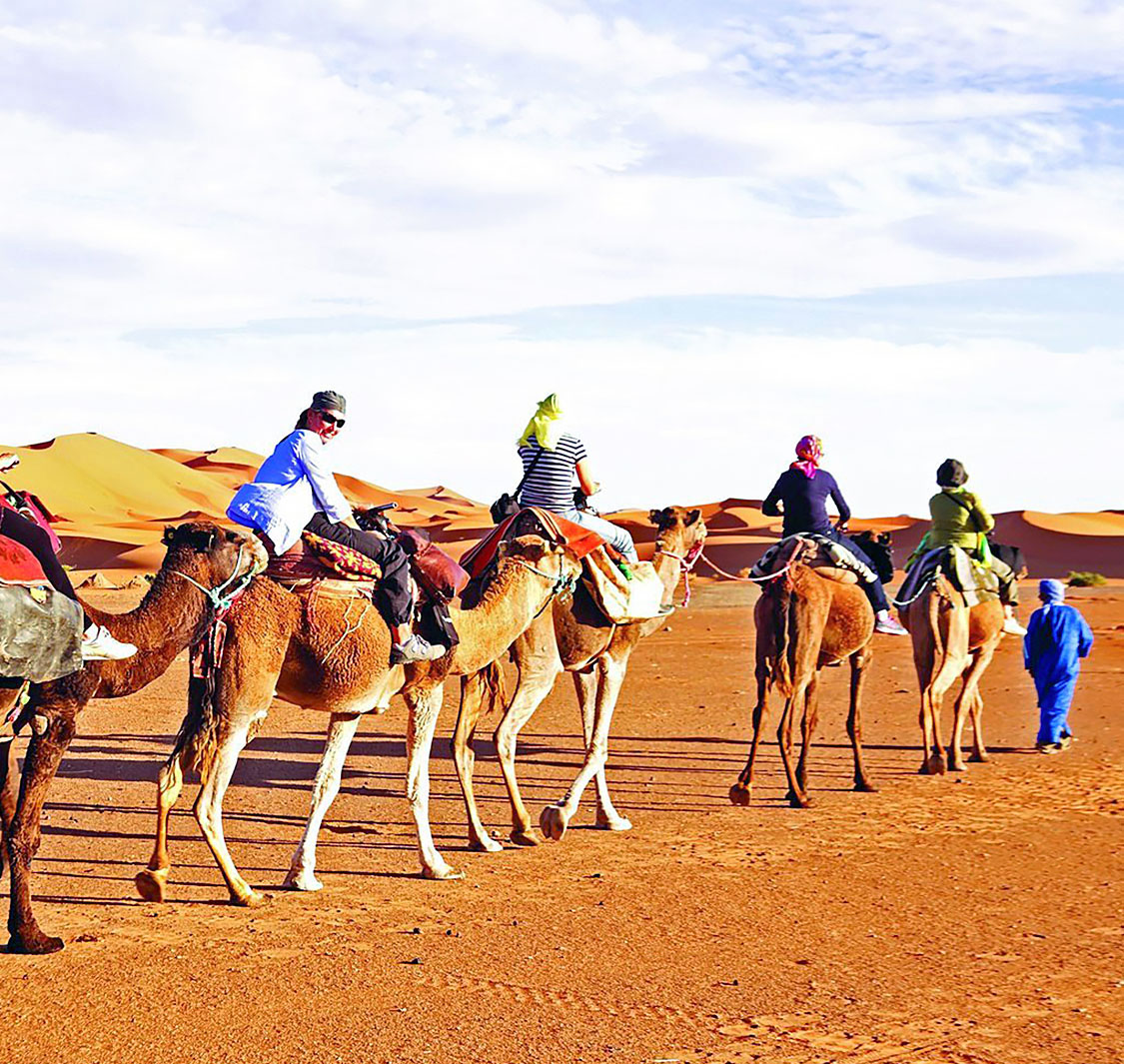ديزرت إكسبرت للسفر والسياحة