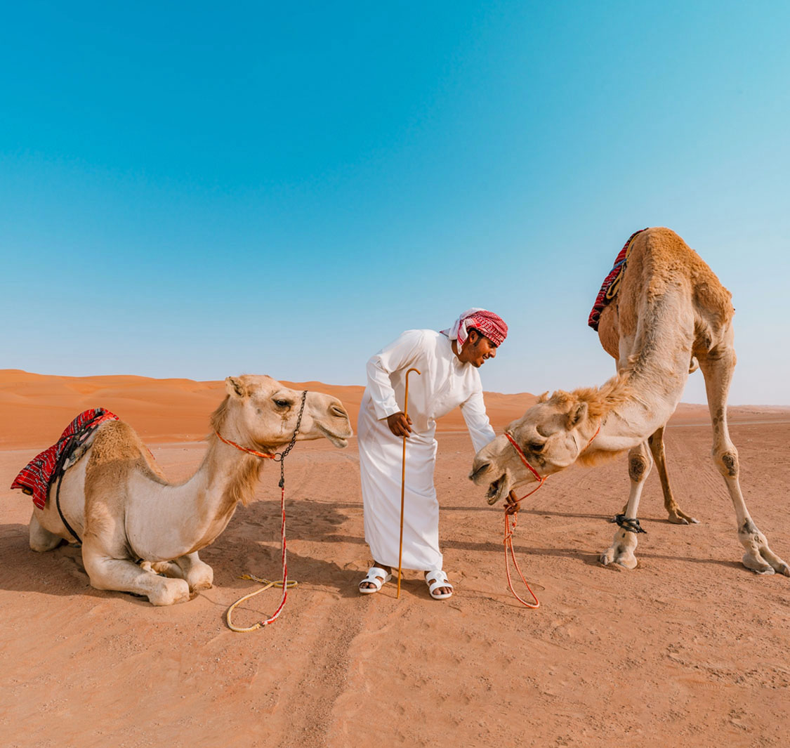 Desert Nights Resort