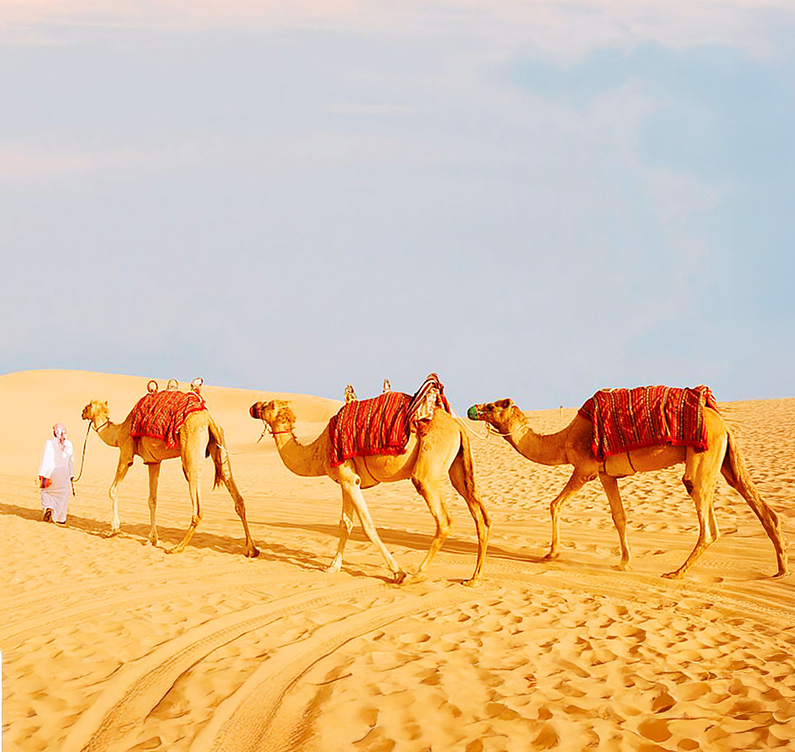 ديزرت روز للسياحة