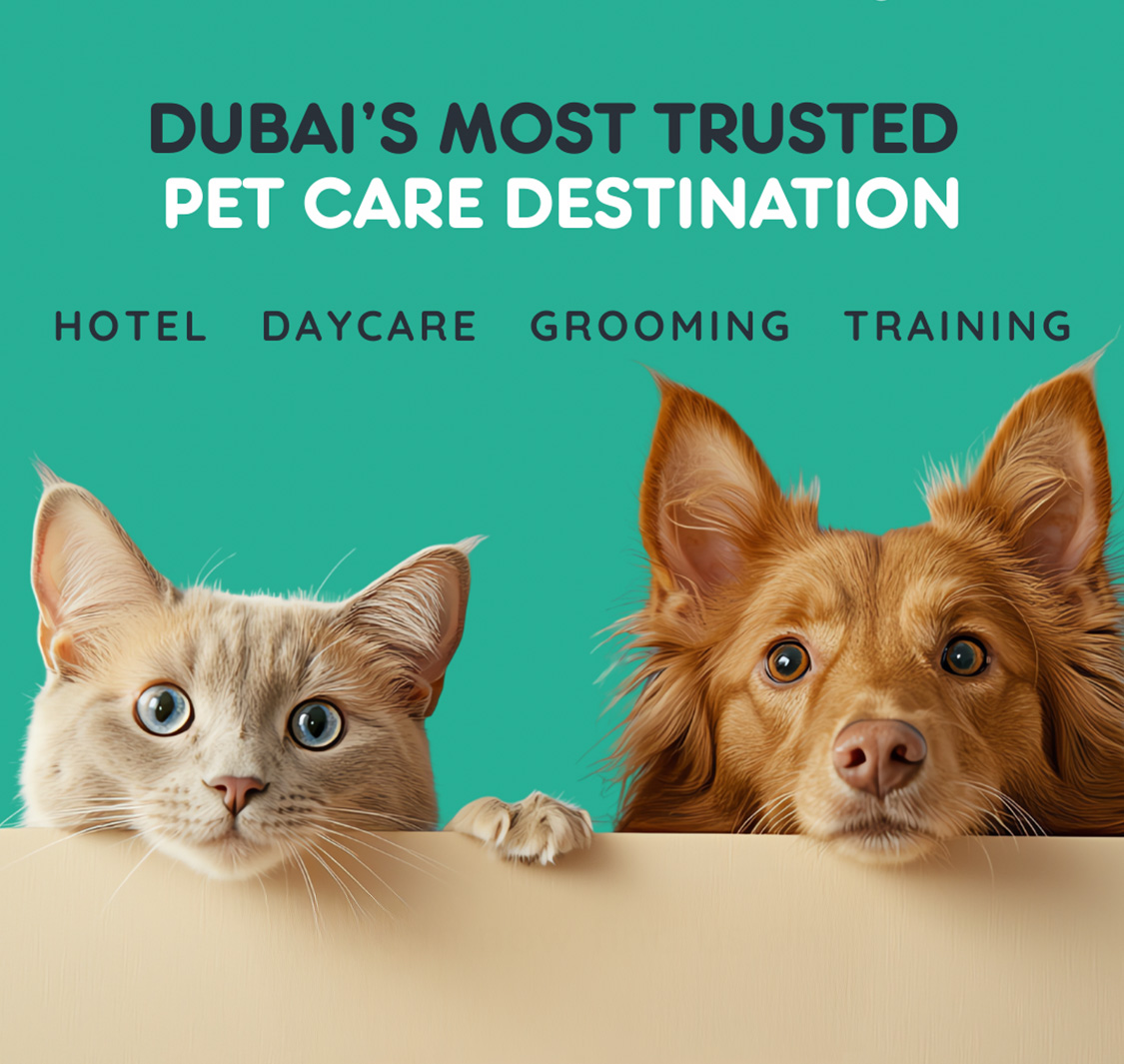 Dogwalk Pets Nursery