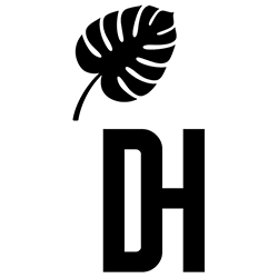 Don Ho Social Kitchen & Bar
