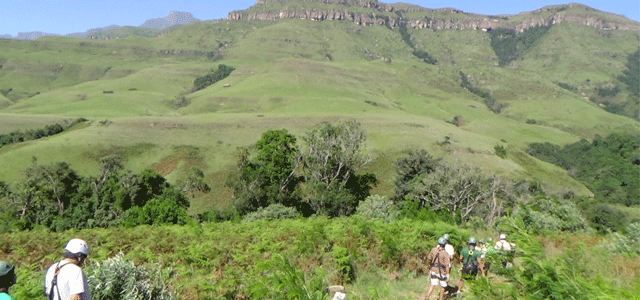 Drakensberg Canopy Tours