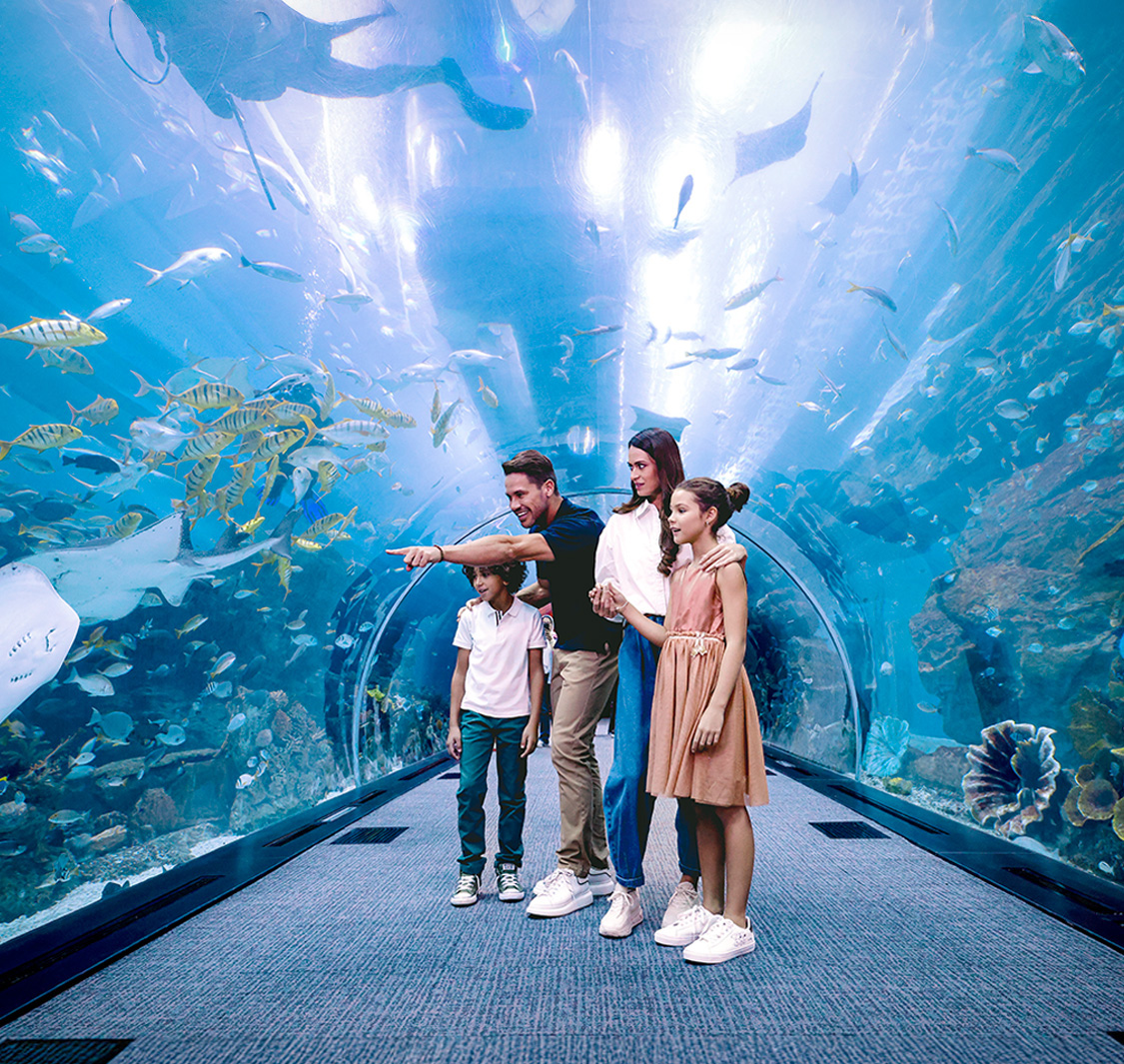 Dubai Aquarium & Underwater Zoo