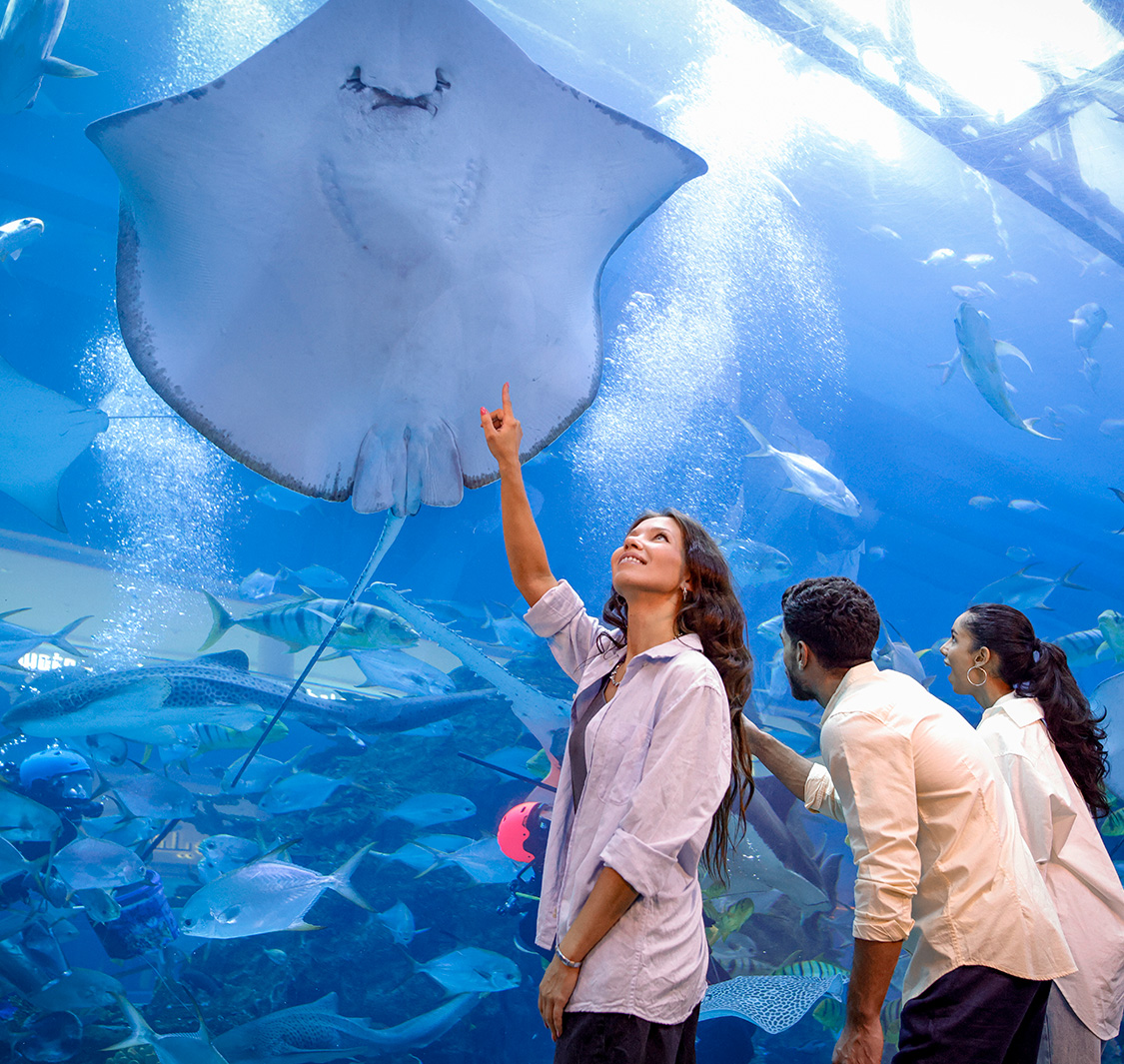 Dubai Aquarium & Underwater Zoo