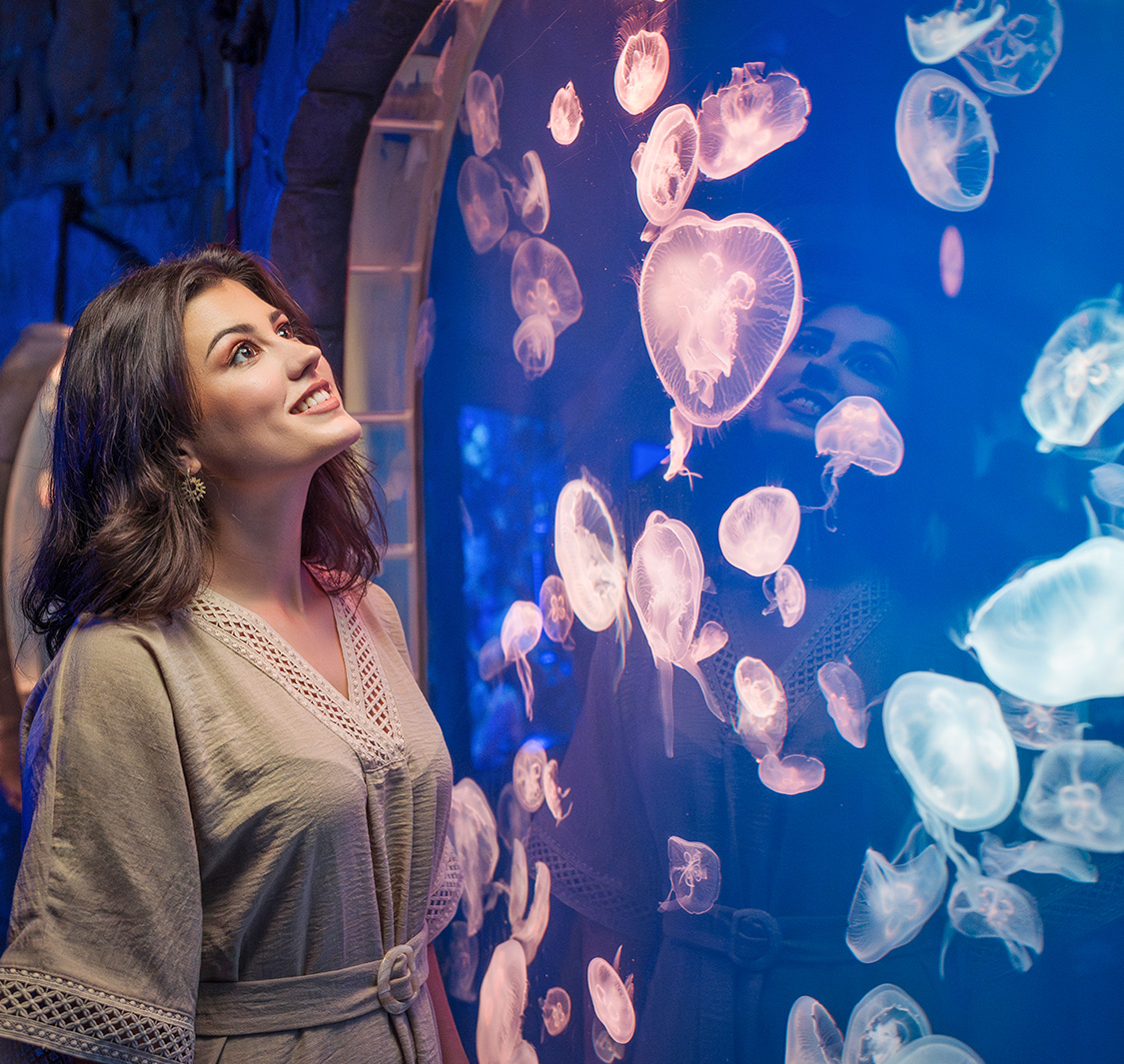 Dubai Aquarium & Underwater Zoo