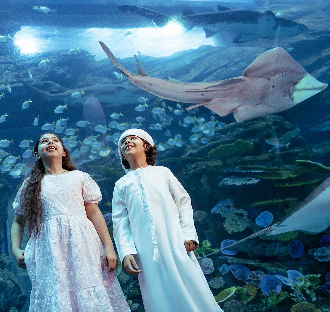 Dubai Aquarium & Underwater Zoo