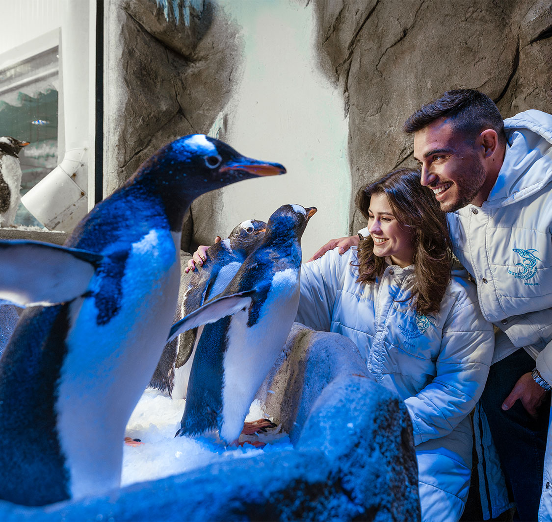 Dubai Aquarium & Underwater Zoo