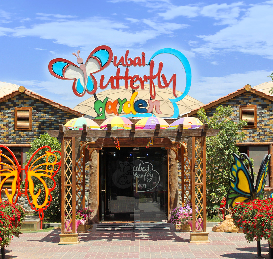 Dubai Butterfly Garden