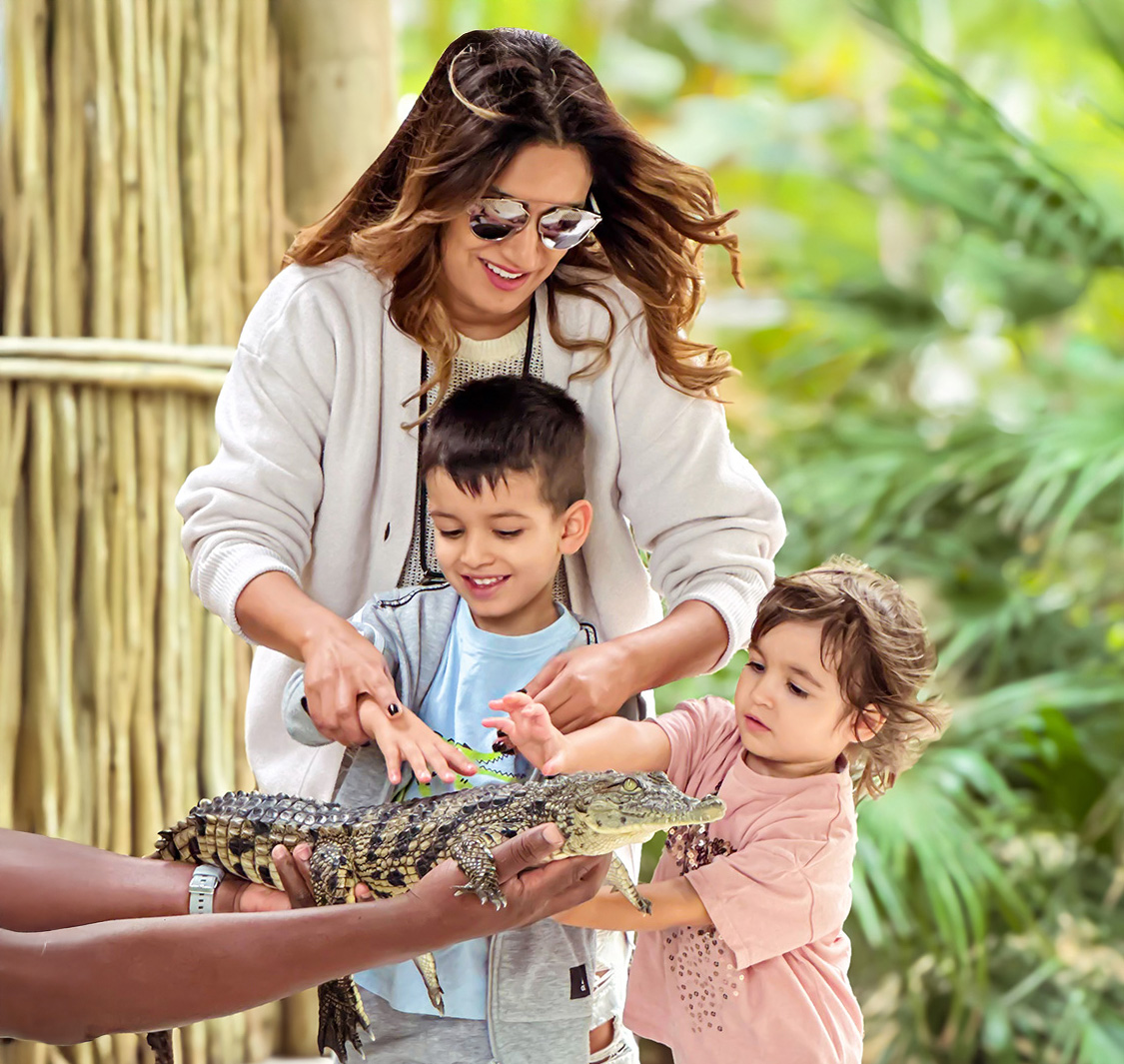 Dubai Crocodile Park