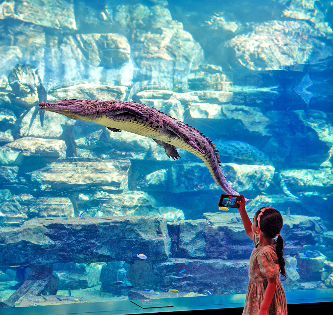 Dubai Crocodile Park