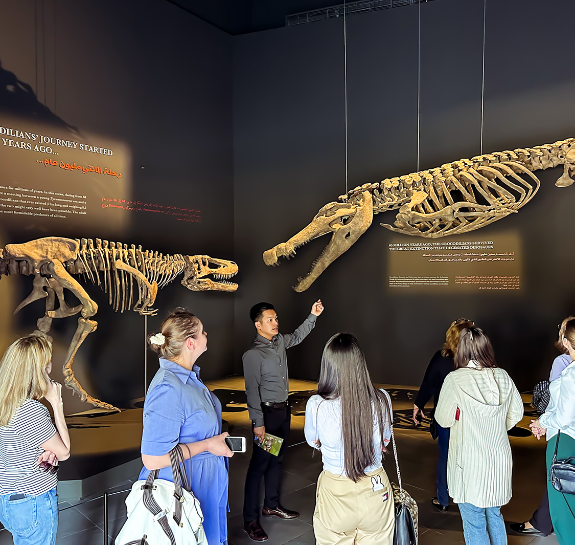 Dubai Crocodile Park