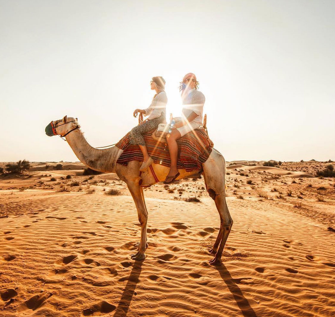 دبي دريمز كاسترز