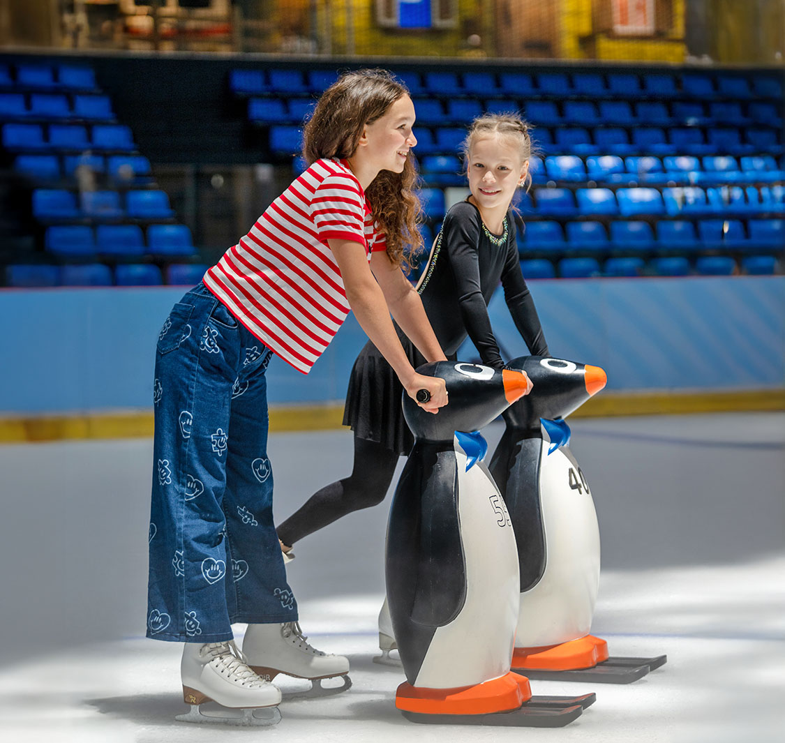 Dubai Ice Rink
