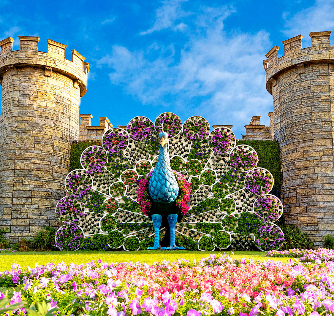 Dubai Miracle Garden