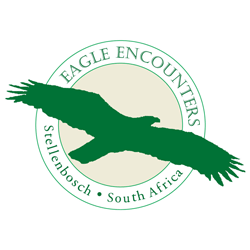 Eagle Encounters