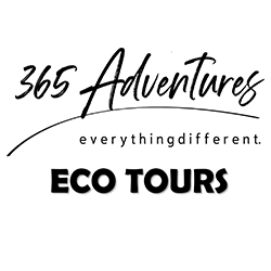365 Adventures Eco Tours