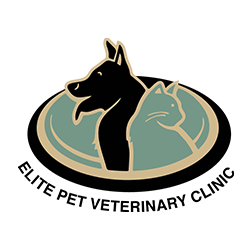 Elite Pet Veterinary Clinic