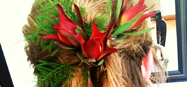 Elle Hair & Beauty