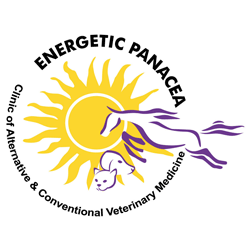 Energetic Panacea Veterinary Clinic