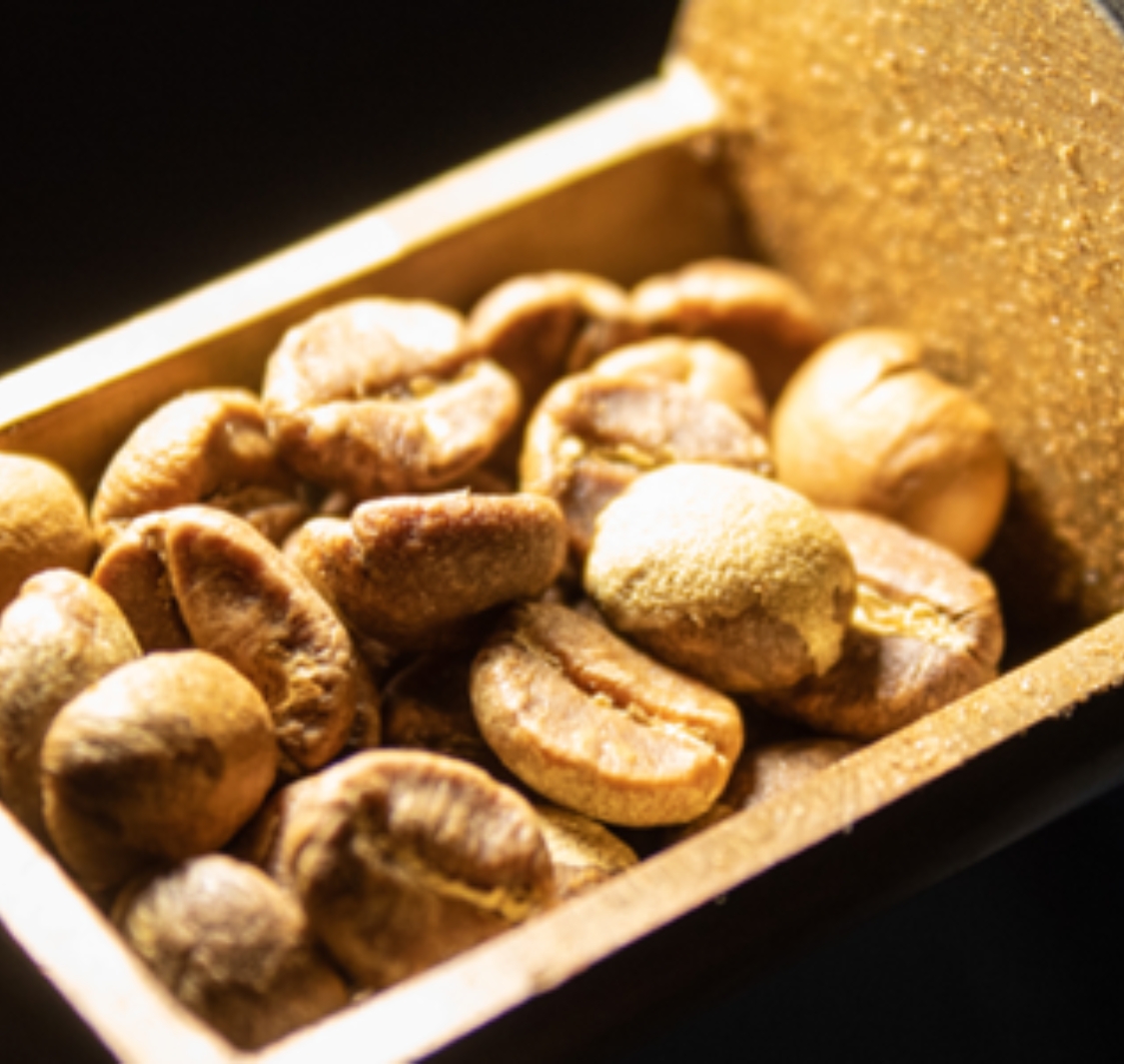 Frisky Goat Coffee Roastery