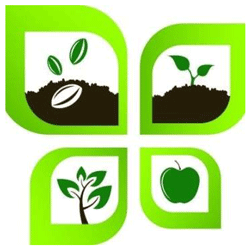 Green Life