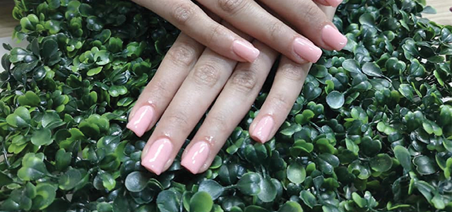Green Earth Beauty Studio