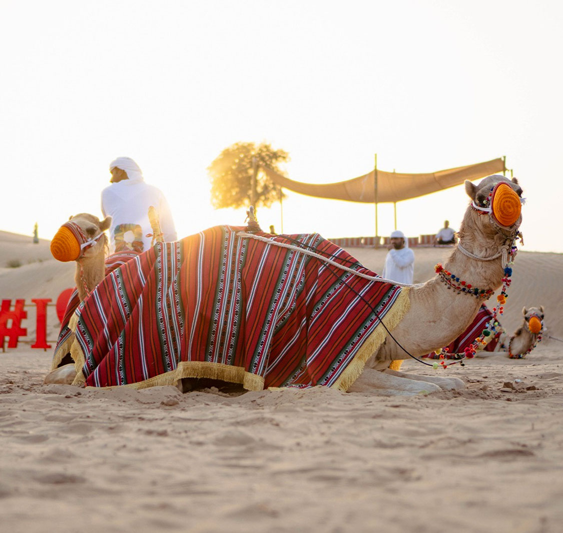 آي سي إل للسياحة والسفر