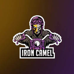 Iron Camel Billiard