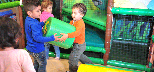 Kids Jungle