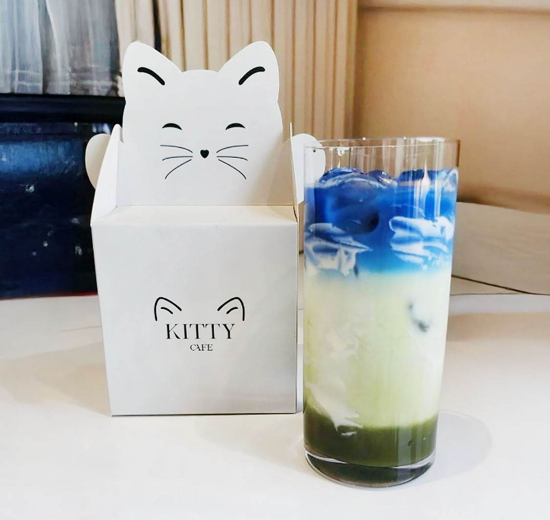 Kitty Cafe