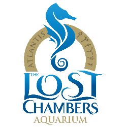 The Lost Chambers Aquarium
