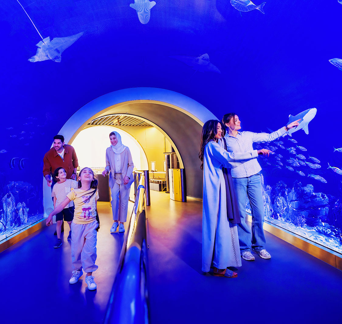 Marassi Aquarium & Underwater Zoo