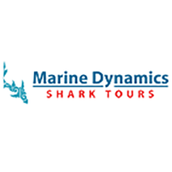 Marine Dynamics